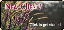 New Clients