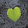 shame icon